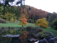 Aubonne Arboretum October 21
